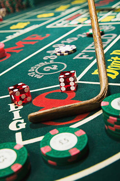 bajicasino ড্যাশবোর্ড স্ট্যাটিস্টিকস ভিউ
